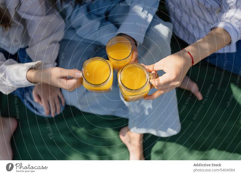 Unrecognizable girls clinking cups of cool orange drinks friend cheers toast friendship picnic blanket enjoy young female chill relax sit summer free time