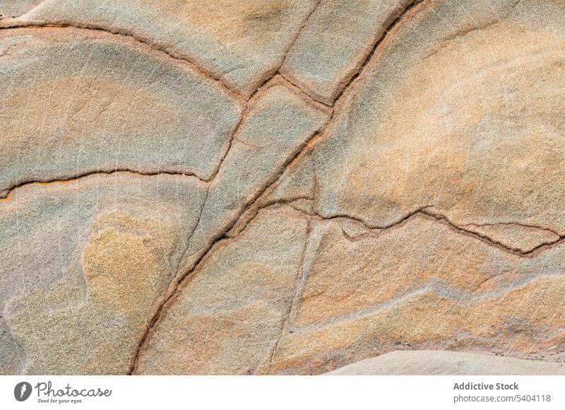 Close up of patterns in weathered sandstone at beach in Olympic National Park in Washington coast close up crack cracked cracks geologic geology pastel rock