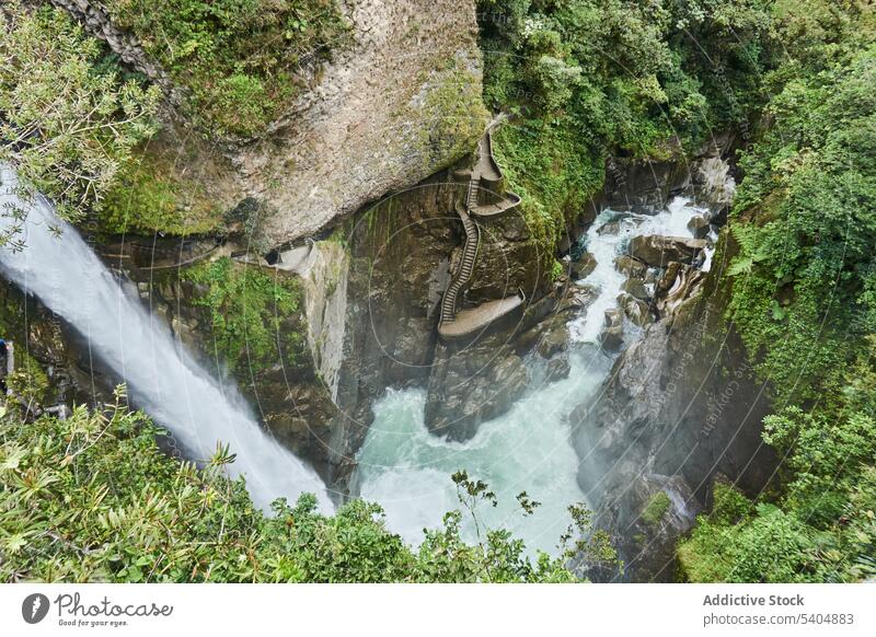 Amazing canyon with waterfall and green trees in forest woods cliff pond rock natural stone scenery cascade wild environment fresh landscape rocky lake motion