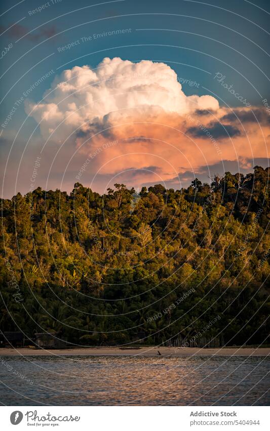 Cloudy sky over river in forest cloud green nature shore landscape tree picturesque blue sky idyllic sunlight environment scenic tranquil leaf peaceful cloudy