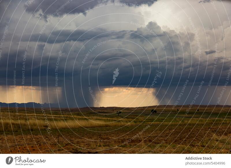 Scenic landscape heavy raining clouds in evening countryside meadow nature grass field scenery cloudy sky scenic bright twilight plain tranquil picturesque