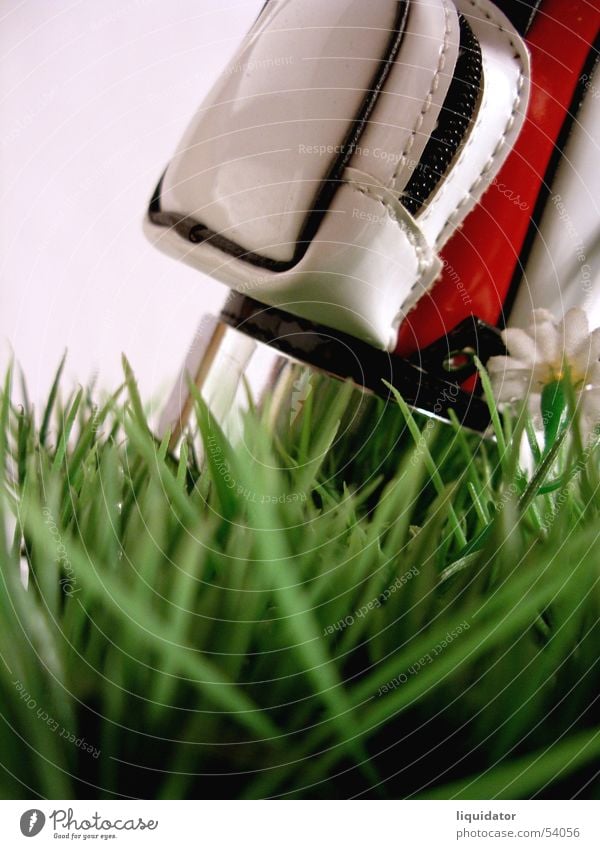 Happy golfing Golf bag Miniature Green Golf course Macro (Extreme close-up) Grass Playing Ball sports Leisure and hobbies turf Lawn