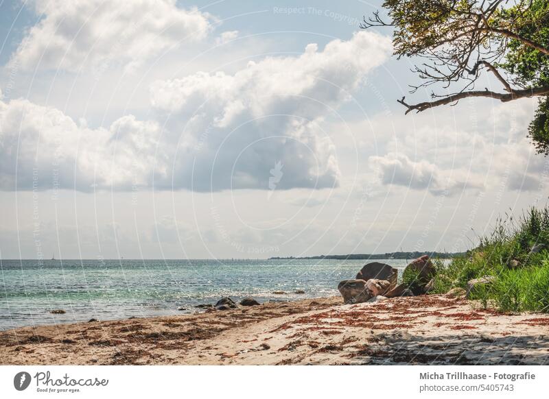 Baltic Sea beach on Langeland (Denmark) Baltic beach Beach Tranekær Landscape Nature Water Ocean Waves Sand coast Sky Clouds vacation Tourism Baltic coast Idyll