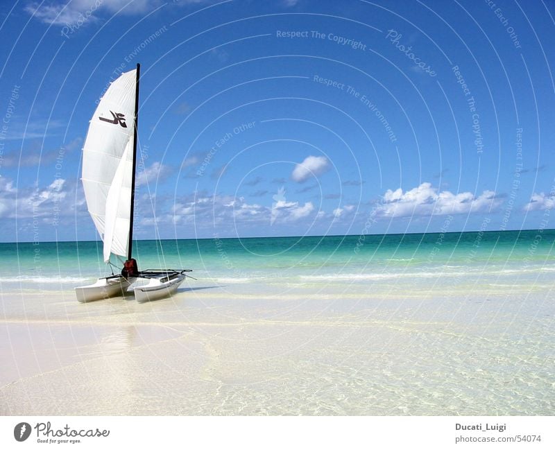 away ... Beach Ocean Sailing Catamaran Cuba Relaxation Vacation & Travel Beautiful weather Sand Baccardi Island clear water shallow beach Freedom dream