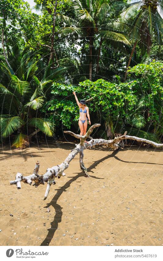 Female tourist standing on dry trunk on beach woman tree palm tree tropical exotic resort carefree female young uvita puntarenas costa rica america bikini