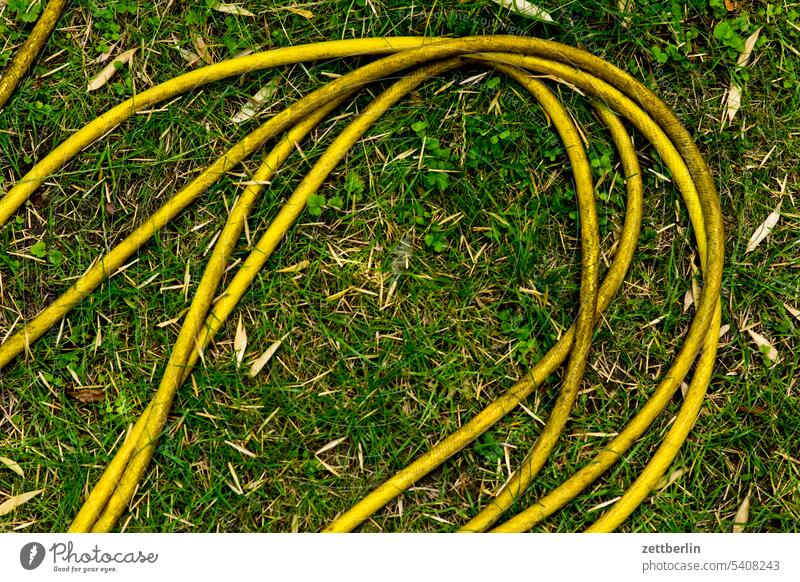 hose Garden allotment Garden allotments Deserted neighbourhood Nature Plant tranquillity Holiday season Garden plot Summer Copy Space Depth of field Meadow Hose