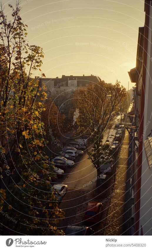 Golden autumn - road at sunrise illuminated in morning fog Autumn Moody Back-light Sunlight golden Illuminate luminescent leaves Avenue Brown motley