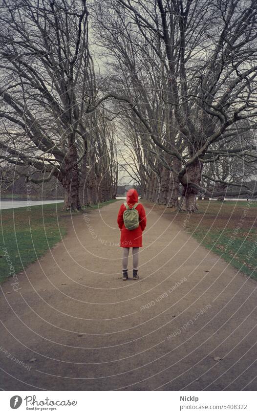 Little Red Riding Hood in the Enchanted Forest Autumn Winter Moody Fairy tale Girl Woman Young woman Loneliness Mystic Creepy Avenue Sparse Tree