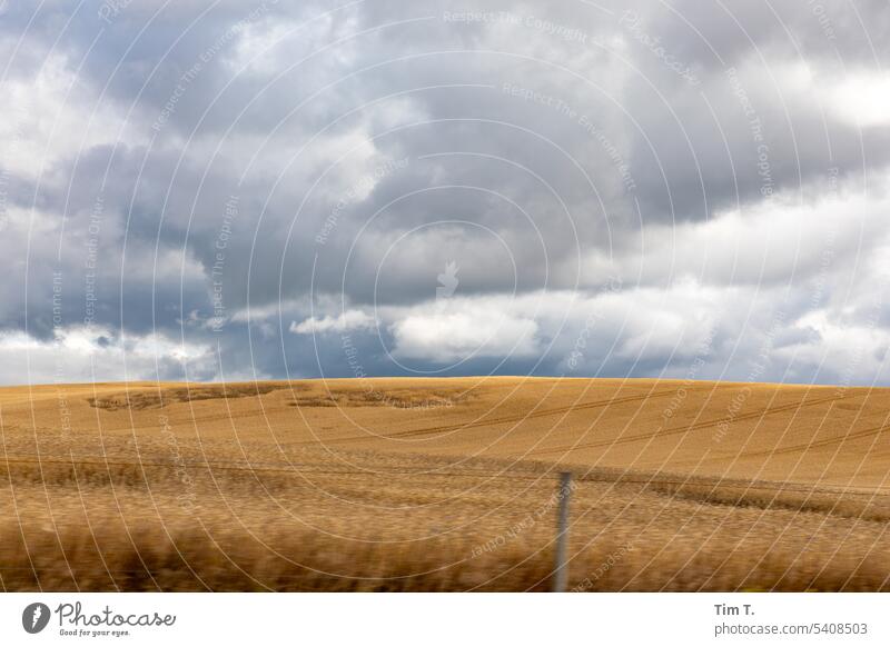 Sky field Mecklenburg Field Summer Mecklenburg Lake District Mecklenburg-Western Pomerania Nature Landscape Exterior shot Day Clouds Agriculture Colour photo