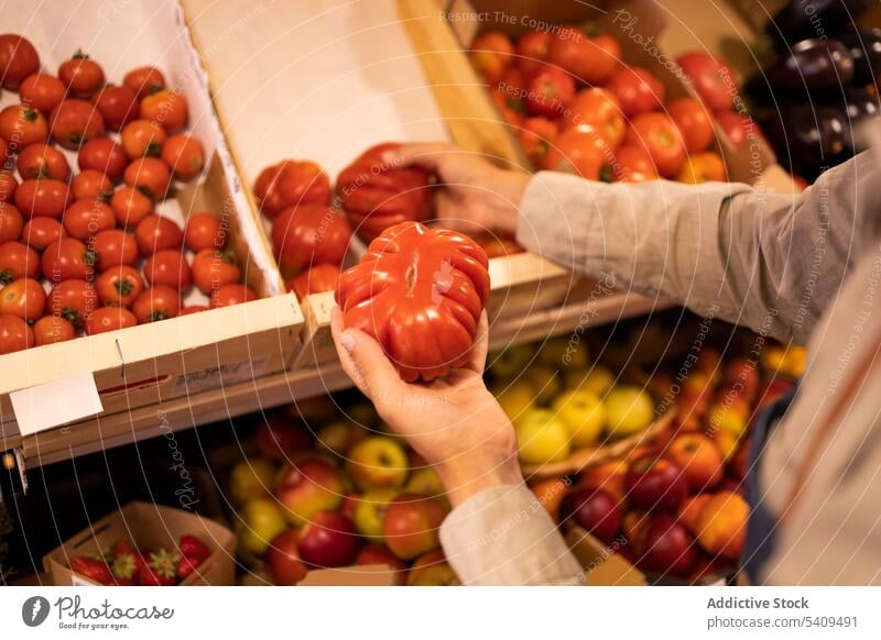 Crop anonymous person choosing ripe tomatoes in supermarket grocery vegetable seller choose box work store food pick fresh product uniform organic buy nutrition