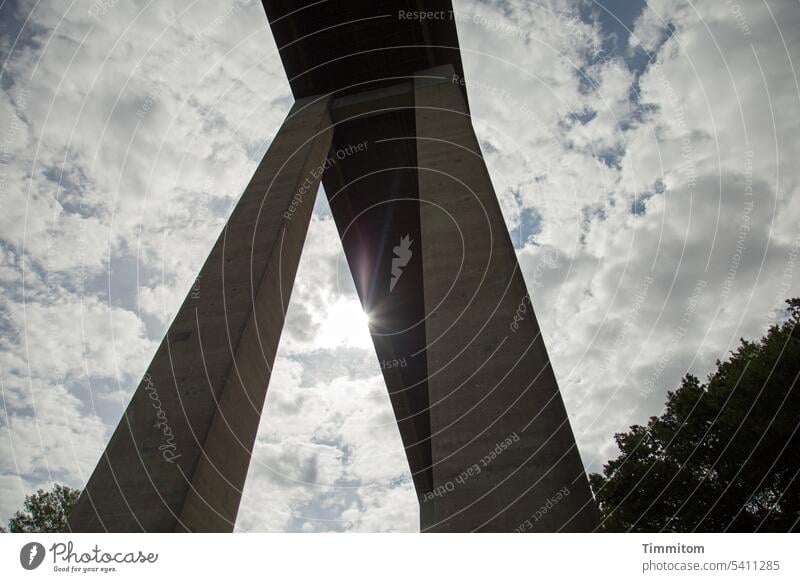 Look up to the highway bridge Manmade structures Bridge motorway bridge Architecture Traffic infrastructure Highway Concrete Colour photo Sky Tall Clouds