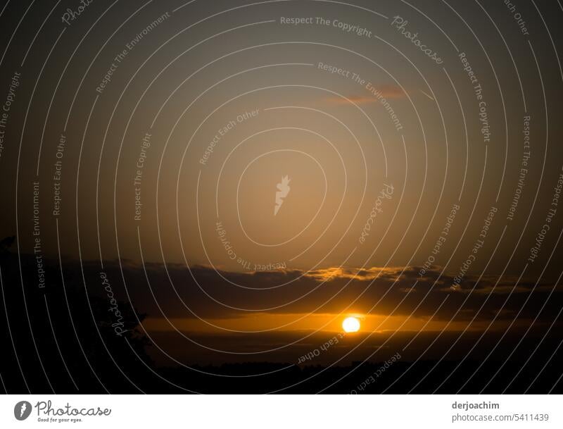 Soon the sun will be gone Sunset Landscape Sunset light Silhouette Twilight Exterior shot Sunlight Dusk sunset mood Sunset sky Evening Sky Horizon Light