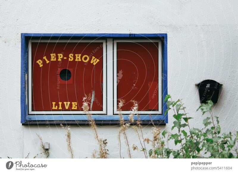 PIEP-SHOW - abandoned bird breeding building with peephole in window Bird breeding Bird breeder birds Breed rearing Nature Animal Exterior shot Building