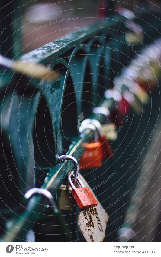 Love locks on a bridge railing Love Locks Bridge Bridge railing Exterior shot Padlock Display of affection Relationship Sympathy Happy Metal Friendship