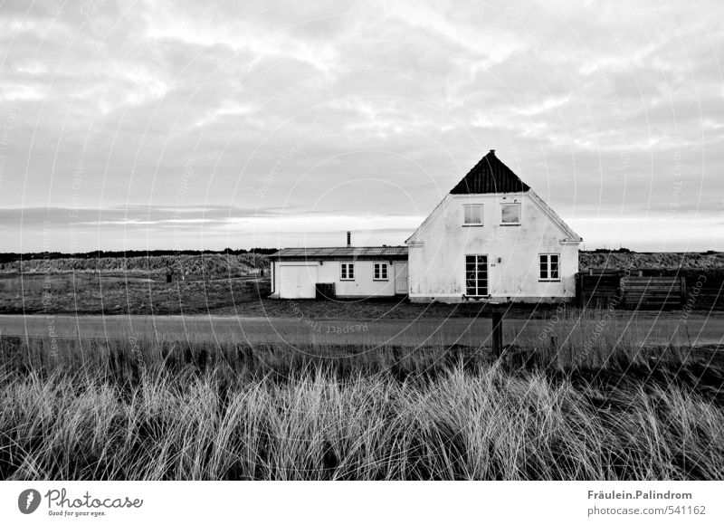 the wide grey sky. Landscape Clouds Bad weather Grass Field Village Deserted House (Residential Structure) Detached house Street Lanes & trails