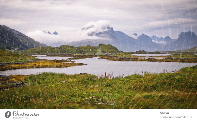 still lifes Clouds Grass Bushes Mountain Fjord Ocean Moody Peaceful To console Serene Longing Wanderlust Contentment Stress Considerate Mysterious Cold