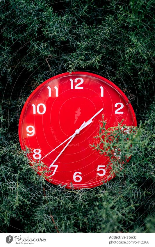 Red clock placed on green meadow during daytime red nature hour alarm minute round deadline urgent grass plant white lawn field season summer watch circle