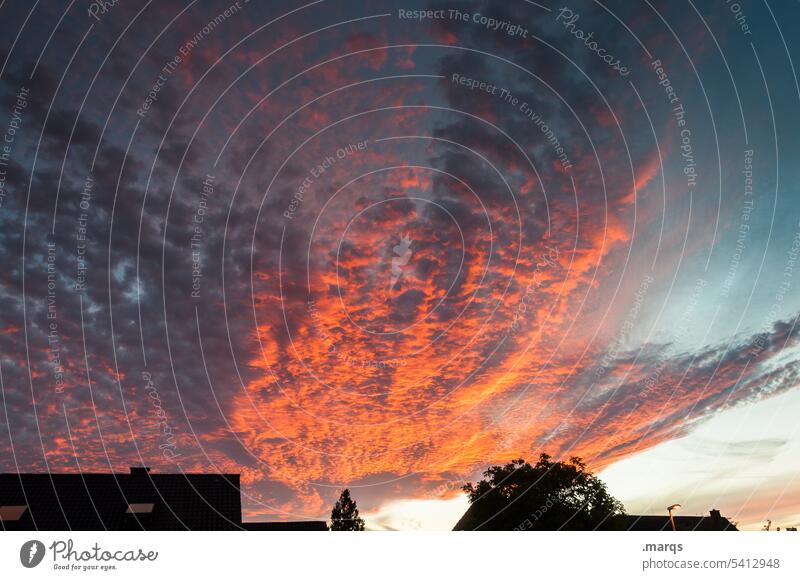 Flaming sky Weather Elements Air Sky Clouds Climate Climate change Nature Blue Environment cloudy Clouds in the sky Meteorology climate crisis