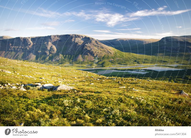 perfect day Far-off places Nature Landscape Beautiful weather Grass Bushes Meadow Mountain Valley Moody Joy Happy Happiness Contentment Joie de vivre (Vitality)