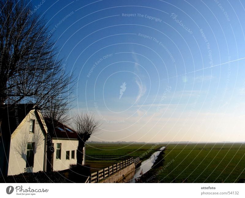 Farm House in Holland Netherlands Meadow Tree House (Residential Structure) Brook Plain Winter Cold Sky Pasture