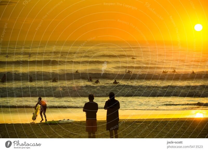 4444 surfing shortly after sunrise under observation supervision Sunrise Morning Sunlight Silhouette Surfer Nature Back-light Ocean Warmth Romance Relaxation