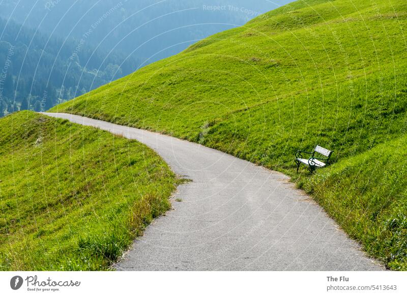 mountain view Meadow Mountain pasture Alps Cycle path bench Alpine pasture Summer Exterior shot Colour photo Nature Landscape Vacation & Travel Environment