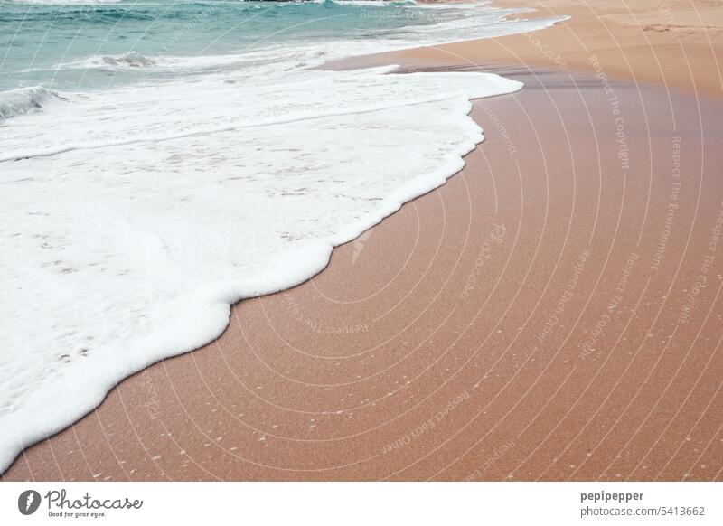 churning spray on a beautiful beach White crest spray water Water Waves Ocean Beach coast Sand Surf Nature Vacation & Travel Elements Swell Summer Wet