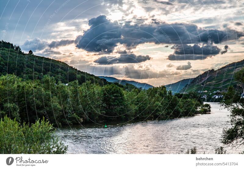 Moselle evening Dusk Twilight Sky Colour photo beautifully Exterior shot Sun Sunlight Sunset Summer Back-light Evening Landscape River Mountain Romance romantic