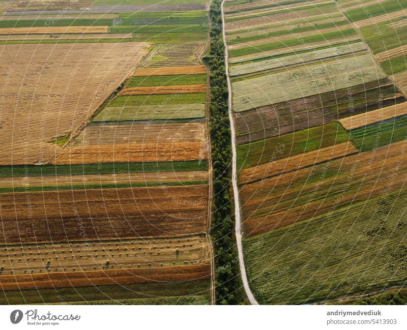 Aerial view of cultivated green fields and agricultural parcels with gold wheat, straw rolls. Countryside landscape, rows geometric shape fields. Concept of agrarian industry. Ukraine