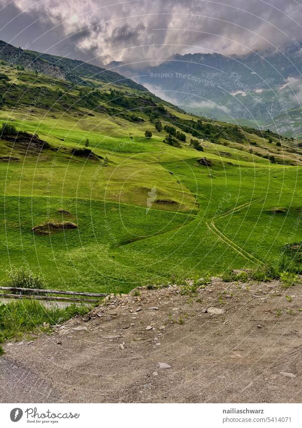 alpine landscape idyllic Forest Idyll Hiking Alpine pasture Vacation mood vacation Romance pretty Juicy Yellow Field Summer Relaxation Longing Lanes & trails