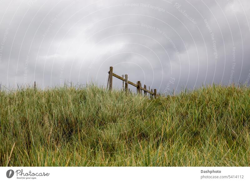 Old Timber Fence Section Against an Overcast Sky at a Coastal Hillside Location fence timber wood wooden old verge wooden fence timber fence broken splintered