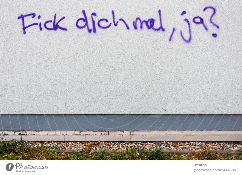 F*** you, yeah? Characters fuck you Graffiti vulgar Wall (barrier) Rant Curse Wall (building) Youth culture Emotions Communicate Letters (alphabet) obscene Daub