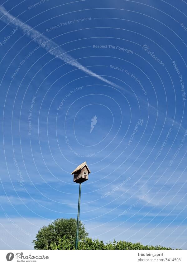 Trip | Birdhouse and blue sky aviary bird house Nest Sky Blue Blue sky Nature Garden Deserted Love of animals