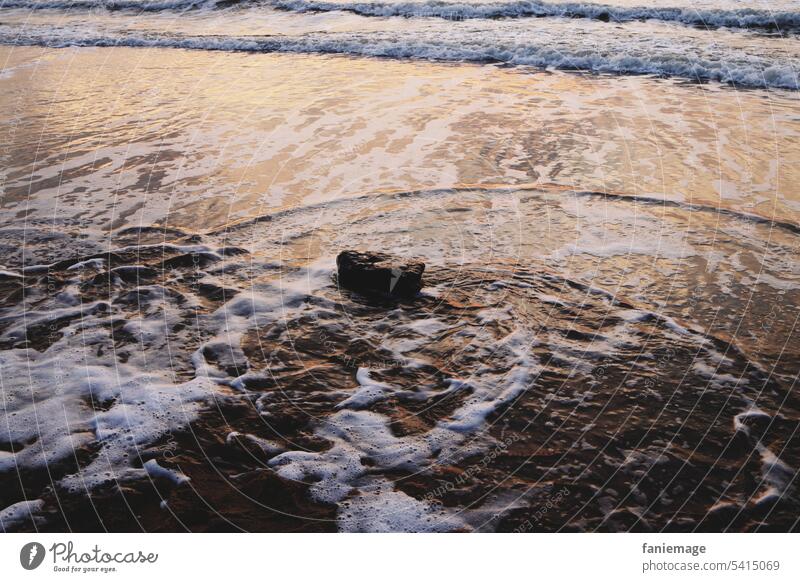 Fels in der Brandung bei Sonnenuntergang Stein Wellen Wasser Meer Nordsee Holland Niederlande Licht umspielen Schaum Schaumkronen Luftblasen blubbern Strand