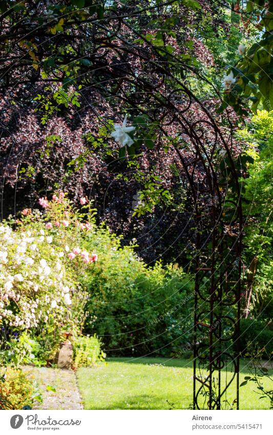 behind the archway is before the archway Garden door Idyll Green naturally Summer blossom luscious Bright green Nature Summery Sunlight Flower Blossoming Growth