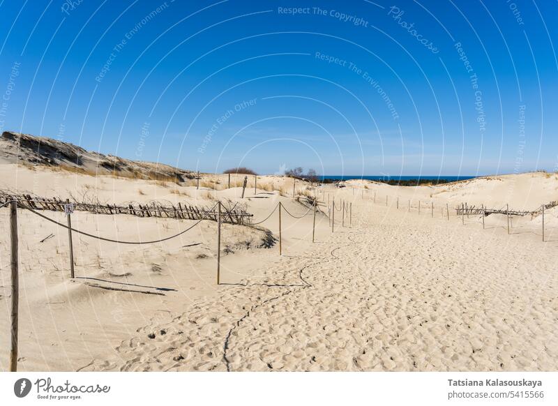 The Gray Dunes, or the Dead Dunes is sandy hills with a bit of green specks at the Lithuanian side of the Curonian Spit Neringa desert wind erosion landscape