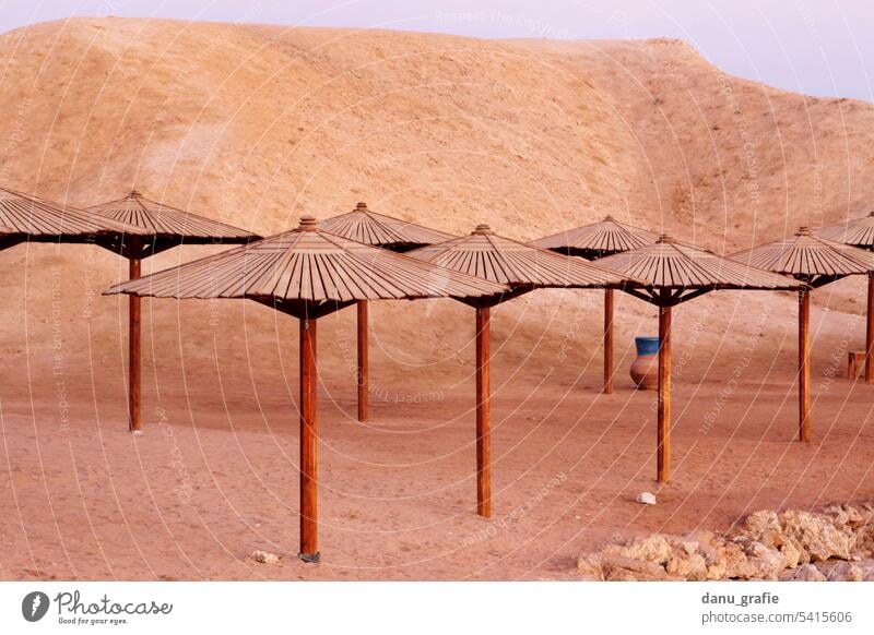 Wooden parasols on the beach in Egypt several parasols sun protection shade dispenser Beach Summer vacation Sun Ocean holidays relax Exterior shot