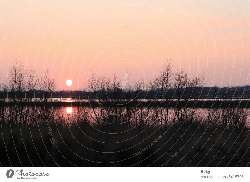 Sunset in the moor Bog Sunlight Moor lake shrub reflection Evening Evening sun Light Shadow Sky Nature Exterior shot Deserted Landscape Reflection Colour photo