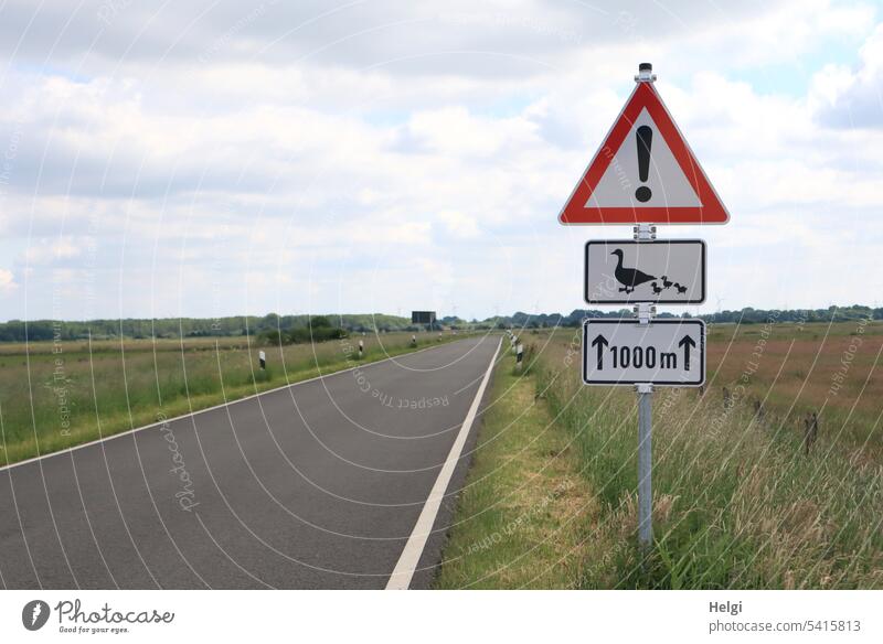 Attention! Geese with chicks cross the roadway! Road sign esteem Clue Chick geese birds peril Caution Street Roadside Meadow bog meadow Sky Clouds Warn