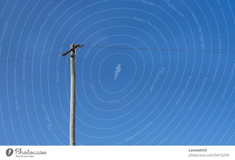 Power line and wooden pole in front of a blue sky cable clear copy space electric electrical electricity energy infrastructure outdoor power power line