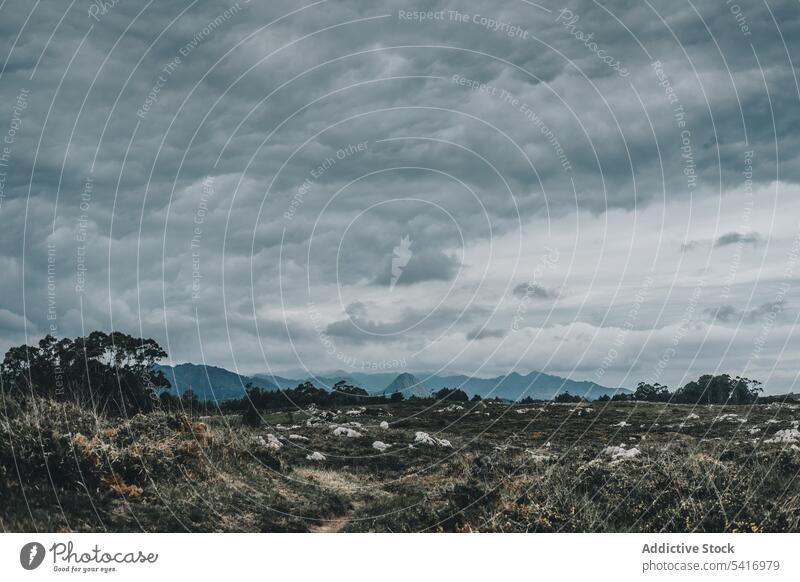 Cloudy sky and withered grass mountain cloudy nature overcast landscape field fog scenery environment travel tourism plant flora mist meadow tranquil wilderness