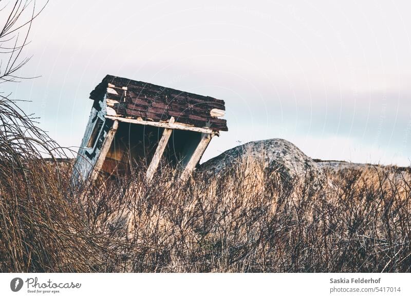 Abandoned structure abandoned hut shack autumn winter field sky rustic old brown yellow wild Deserted House Building Wood Architecture Facade Window