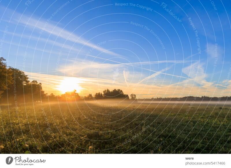 colorful sunrise over foggy meadows in Augsburg city forest near Siebenbrunn Meriner Au copy space disappeared place district historical landscape morning