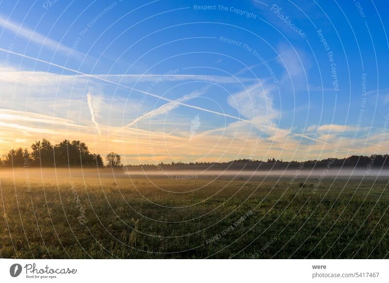 colorful sunrise over foggy meadows in Augsburg city forest near Siebenbrunn Meriner Au copy space disappeared place district historical landscape morning