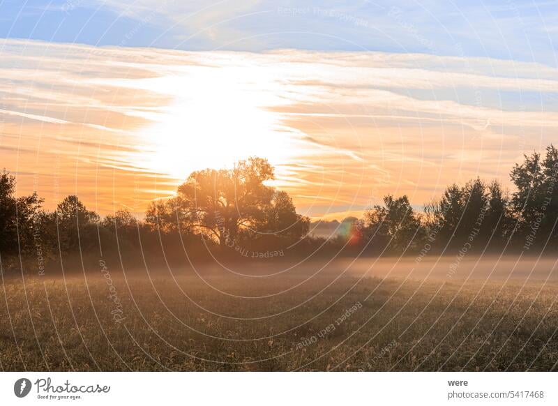 colorful sunrise over foggy meadows in Augsburg city forest near Siebenbrunn Meriner Au copy space disappeared place district historical landscape morning