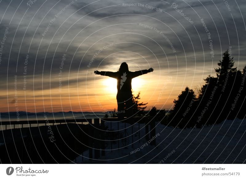 Good Times Woman Thuringia Tree Forest Horizon Winter Sun Human being Bread Node clouds trees Snow Shadow Sky