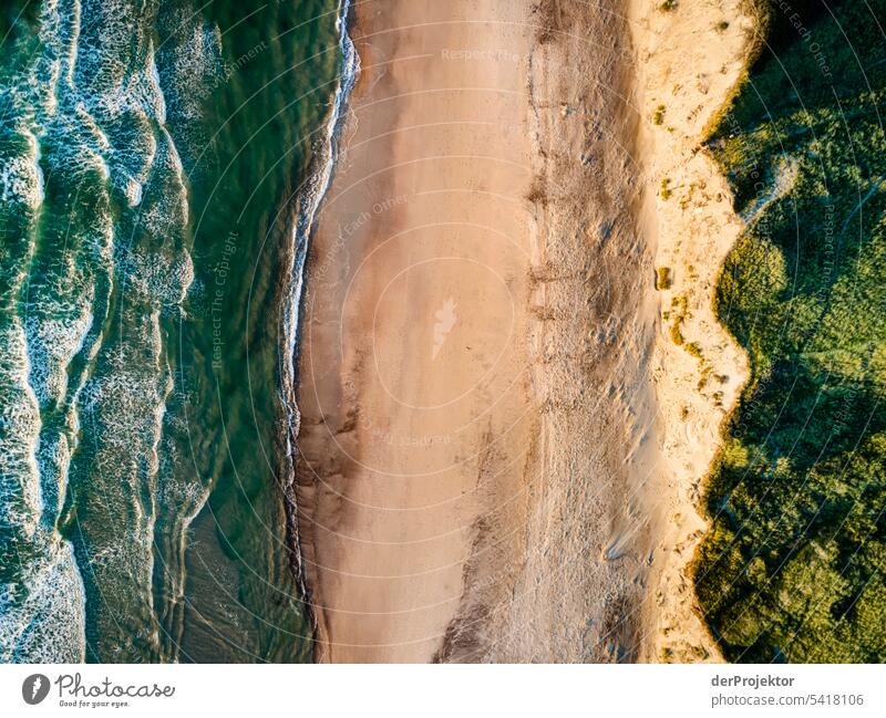 Sunset with view of sea, beach and dunes Structures and shapes Nature reserve Subdued colour Copy Space left Copy Space right Copy Space top Central perspective