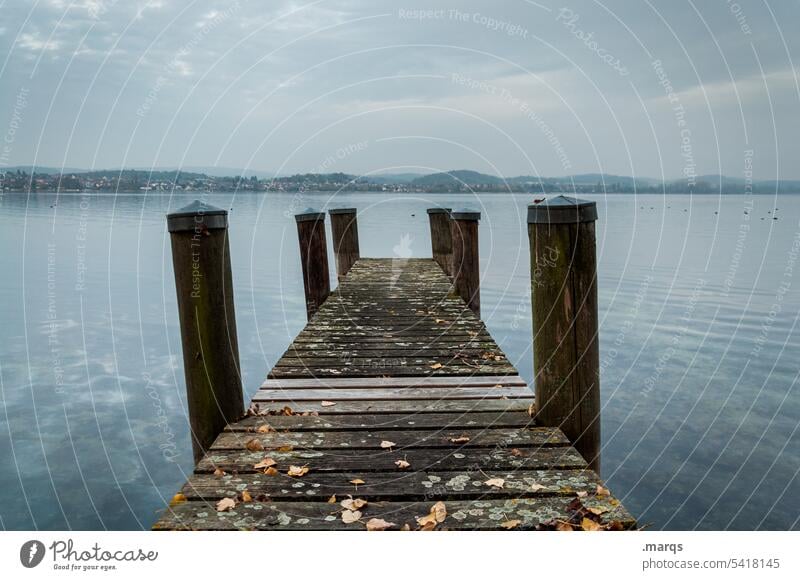 at Lake Constance Evening Calm Moody pretty Footbridge Horizon Sky Adventure Trip Blue Water Nature Twilight Relaxation Symmetry Idyll Wanderlust Cold Wood