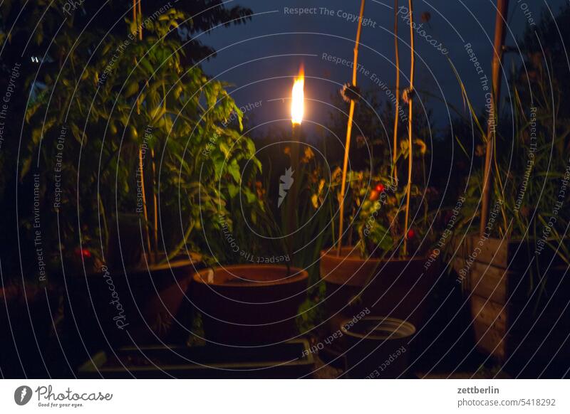 Torch in the garden at night Evening Branch Tree Dark Twilight holidays Flame Garden Sky Illumination shoulder stand allotment Garden allotments Candlestick