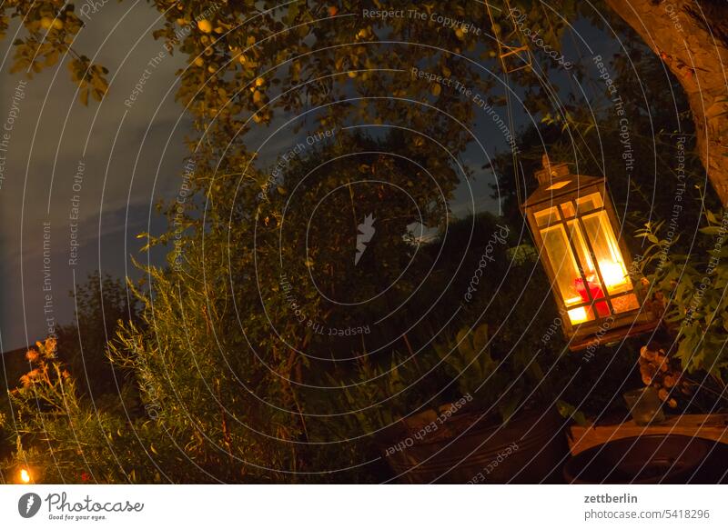 Lantern at night in the garden Evening Branch Tree Dark Twilight Torch holidays Flame Garden Sky Illumination shoulder stand allotment Garden allotments